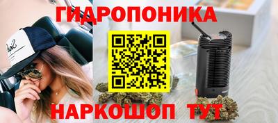 дмт Будённовск