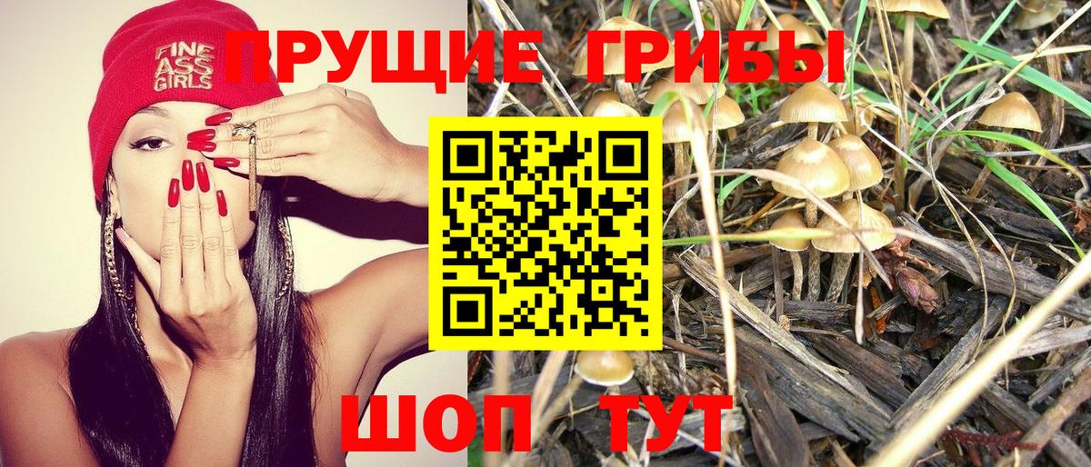 Псилоцибиновые грибы Magic Shrooms Лиски