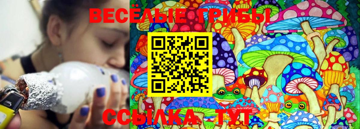 Псилоцибиновые грибы мицелий  Вход с VPN  Лиски  Псилоцибиновые грибы MAGIC MUSHROOMS 